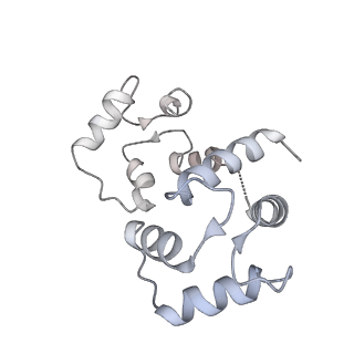 9837_6jiy_C_v1-3
Structure of RyR2 (F/A/C/H-Ca2+/Ca2+CaM dataset)