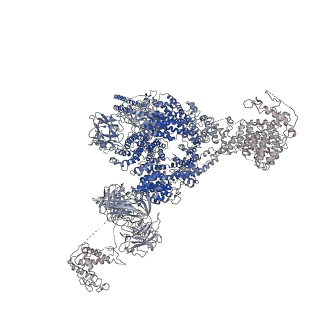 9837_6jiy_D_v1-3
Structure of RyR2 (F/A/C/H-Ca2+/Ca2+CaM dataset)