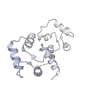 9837_6jiy_F_v1-3
Structure of RyR2 (F/A/C/H-Ca2+/Ca2+CaM dataset)