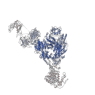 9837_6jiy_G_v1-3
Structure of RyR2 (F/A/C/H-Ca2+/Ca2+CaM dataset)