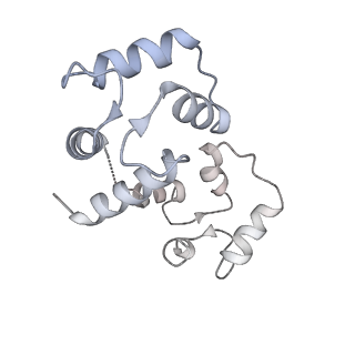 9837_6jiy_I_v1-3
Structure of RyR2 (F/A/C/H-Ca2+/Ca2+CaM dataset)