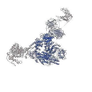 9837_6jiy_J_v1-3
Structure of RyR2 (F/A/C/H-Ca2+/Ca2+CaM dataset)