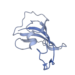 9837_6jiy_K_v1-3
Structure of RyR2 (F/A/C/H-Ca2+/Ca2+CaM dataset)