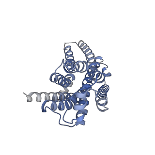 22357_7jjo_R_v1-1
Structural Basis of the Activation of Heterotrimeric Gs-protein by Isoproterenol-bound Beta1-Adrenergic Receptor