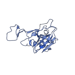 36345_8jje_B_v1-0
RBD of SARS-CoV2 spike protein with ACE2 decoy