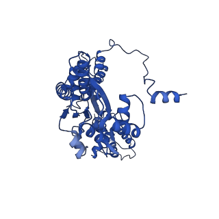 22359_7jk2_A_v1-0
Structure of Drosophila ORC bound to poly(dA/dT) DNA and Cdc6 (conformation 1)