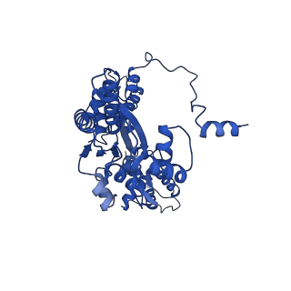 22359_7jk2_A_v1-1
Structure of Drosophila ORC bound to poly(dA/dT) DNA and Cdc6 (conformation 1)