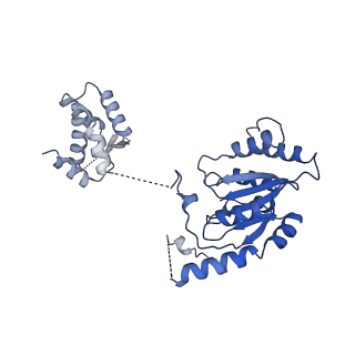 22359_7jk2_B_v1-0
Structure of Drosophila ORC bound to poly(dA/dT) DNA and Cdc6 (conformation 1)