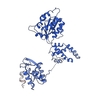 22359_7jk2_E_v1-0
Structure of Drosophila ORC bound to poly(dA/dT) DNA and Cdc6 (conformation 1)