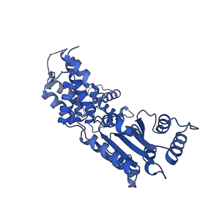 22359_7jk2_G_v1-0
Structure of Drosophila ORC bound to poly(dA/dT) DNA and Cdc6 (conformation 1)