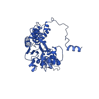 22360_7jk3_A_v1-0
Structure of Drosophila ORC bound to GC-rich DNA and Cdc6