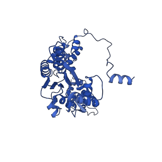 22360_7jk3_A_v1-1
Structure of Drosophila ORC bound to GC-rich DNA and Cdc6