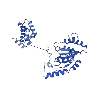 22360_7jk3_B_v1-1
Structure of Drosophila ORC bound to GC-rich DNA and Cdc6