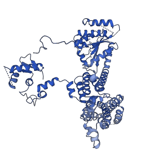 22360_7jk3_C_v1-0
Structure of Drosophila ORC bound to GC-rich DNA and Cdc6