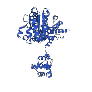 22360_7jk3_D_v1-0
Structure of Drosophila ORC bound to GC-rich DNA and Cdc6