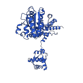 22360_7jk3_D_v1-1
Structure of Drosophila ORC bound to GC-rich DNA and Cdc6