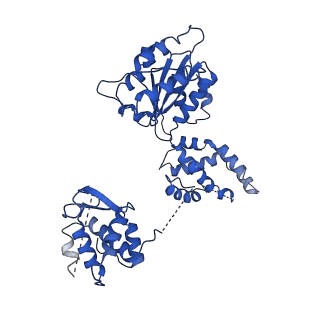22360_7jk3_E_v1-0
Structure of Drosophila ORC bound to GC-rich DNA and Cdc6