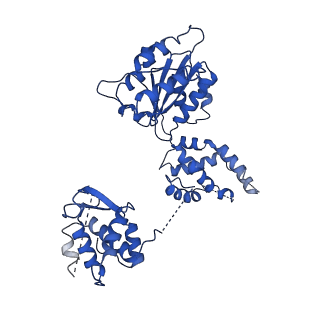 22360_7jk3_E_v1-1
Structure of Drosophila ORC bound to GC-rich DNA and Cdc6