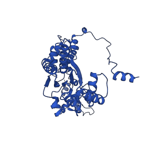 22361_7jk4_A_v1-0
Structure of Drosophila ORC bound to AT-rich DNA and Cdc6
