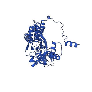 22361_7jk4_A_v1-1
Structure of Drosophila ORC bound to AT-rich DNA and Cdc6