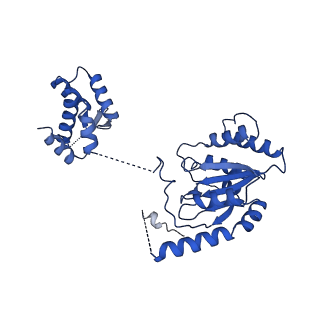 22361_7jk4_B_v1-1
Structure of Drosophila ORC bound to AT-rich DNA and Cdc6