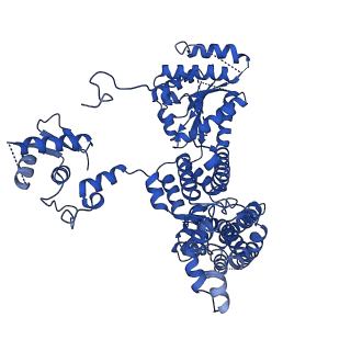 22361_7jk4_C_v1-0
Structure of Drosophila ORC bound to AT-rich DNA and Cdc6