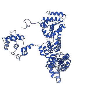 22361_7jk4_C_v1-1
Structure of Drosophila ORC bound to AT-rich DNA and Cdc6