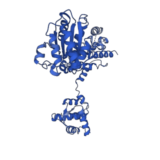 22361_7jk4_D_v1-0
Structure of Drosophila ORC bound to AT-rich DNA and Cdc6