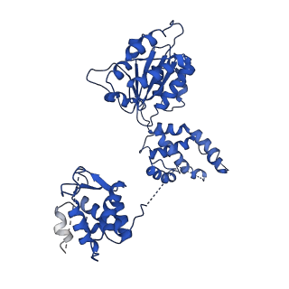 22361_7jk4_E_v1-0
Structure of Drosophila ORC bound to AT-rich DNA and Cdc6