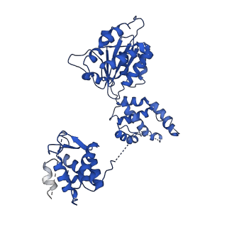 22361_7jk4_E_v1-1
Structure of Drosophila ORC bound to AT-rich DNA and Cdc6