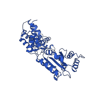 22361_7jk4_G_v1-1
Structure of Drosophila ORC bound to AT-rich DNA and Cdc6