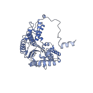 22362_7jk5_A_v1-0
Structure of Drosophila ORC bound to DNA