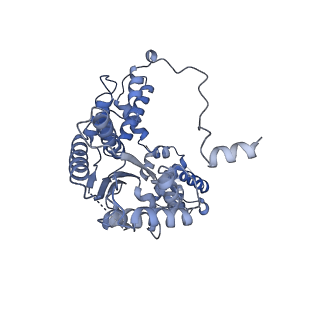 22362_7jk5_A_v1-1
Structure of Drosophila ORC bound to DNA