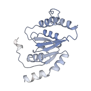 22362_7jk5_B_v1-0
Structure of Drosophila ORC bound to DNA
