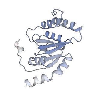 22362_7jk5_B_v1-1
Structure of Drosophila ORC bound to DNA