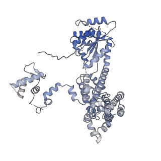22362_7jk5_C_v1-0
Structure of Drosophila ORC bound to DNA