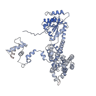 22362_7jk5_C_v1-1
Structure of Drosophila ORC bound to DNA