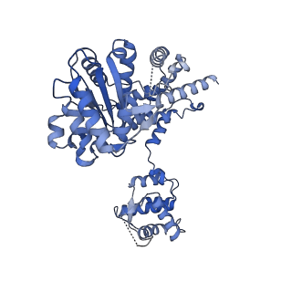 22362_7jk5_D_v1-0
Structure of Drosophila ORC bound to DNA