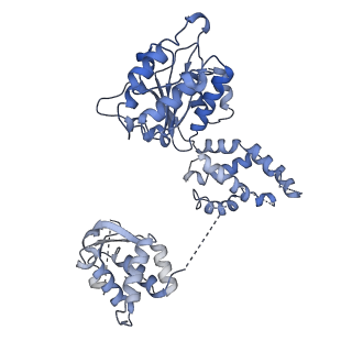 22362_7jk5_E_v1-0
Structure of Drosophila ORC bound to DNA