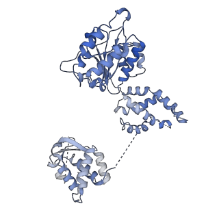 22362_7jk5_E_v1-1
Structure of Drosophila ORC bound to DNA