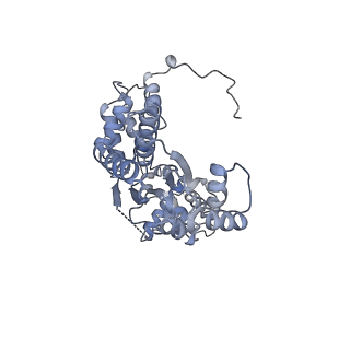 22363_7jk6_A_v1-0
Structure of Drosophila ORC in the active conformation