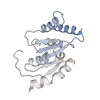 22363_7jk6_B_v1-0
Structure of Drosophila ORC in the active conformation