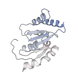 22363_7jk6_B_v1-1
Structure of Drosophila ORC in the active conformation