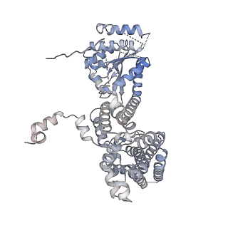 22363_7jk6_C_v1-0
Structure of Drosophila ORC in the active conformation