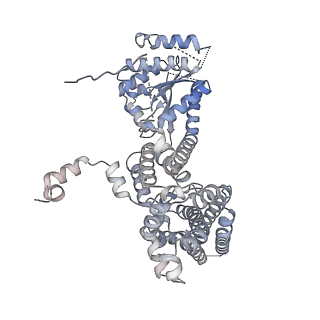 22363_7jk6_C_v1-1
Structure of Drosophila ORC in the active conformation