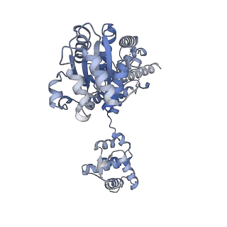 22363_7jk6_D_v1-0
Structure of Drosophila ORC in the active conformation