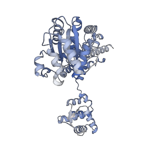 22363_7jk6_D_v1-1
Structure of Drosophila ORC in the active conformation