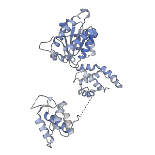 22363_7jk6_E_v1-0
Structure of Drosophila ORC in the active conformation