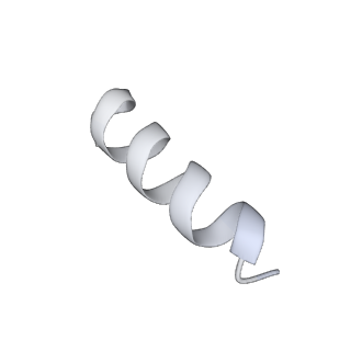 22363_7jk6_F_v1-1
Structure of Drosophila ORC in the active conformation