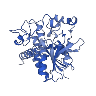 22364_7jk9_L_v1-1
Helical filaments of plant light-dependent protochlorophyllide oxidoreductase (LPOR) bound to NADPH, Pchlide, and membrane